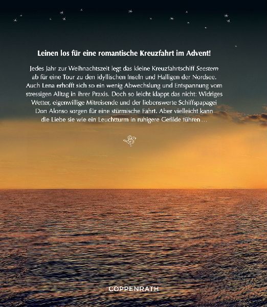 Das Weihnachts-Traumschiff
