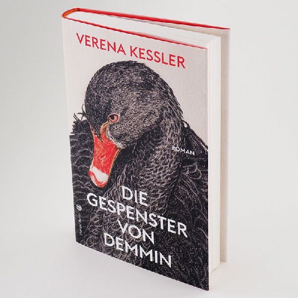 Die Gespenster von Demmin