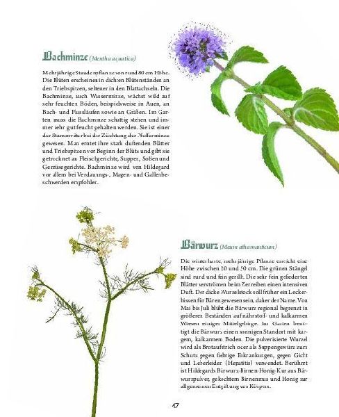 Hildegard von Bingen - Heilwissen und Rezepte für Ihr Wohlbefinden