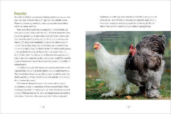How to Read a Chicken's Mind