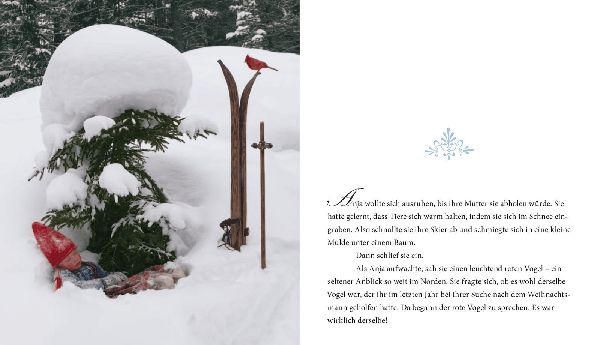 Ein wunderbarer Weihnachtswunsch. Miniausgabe