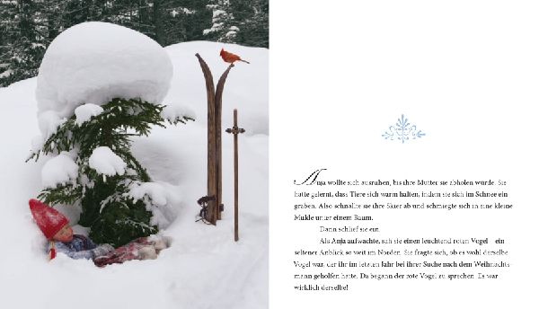 Ein wunderbarer Weihnachtswunsch. Miniausgabe