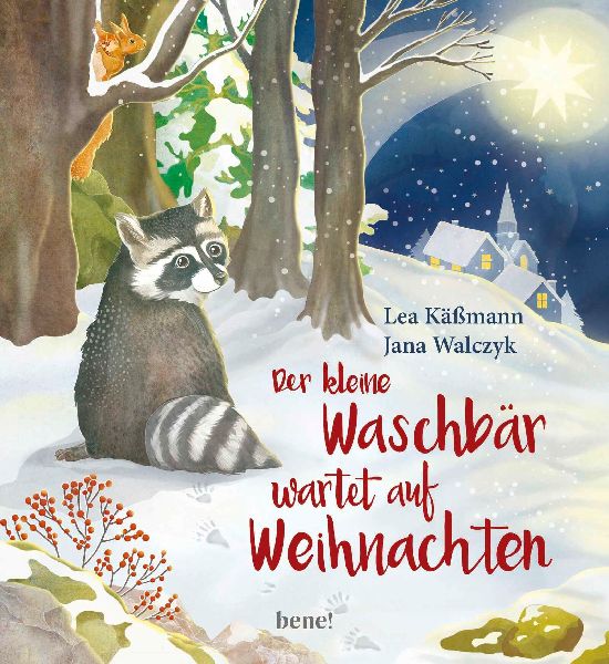 Der kleine Waschbär wartet auf Weihnachten - ein Bilderbuch f...