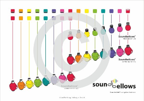 Einfacher!-Geht-Nicht: 24 Weihnachtslieder für die RAINBOW Instrumente (+Play-Along-Streaming) | LeuWa