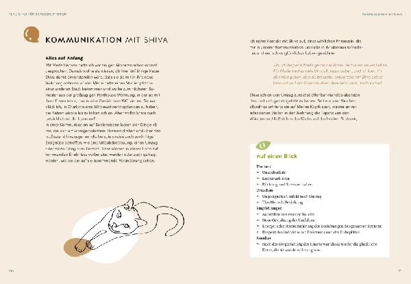 Was will mir meine Katze sagen?