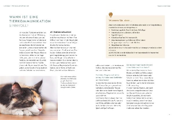 Was will mir meine Katze sagen?