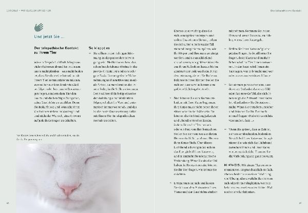 Was will mir meine Katze sagen?