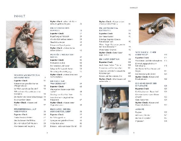 Die unglaublichen Fähigkeiten der Katze