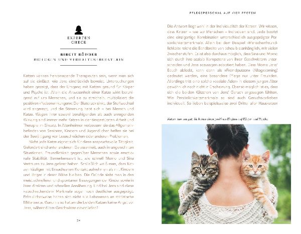 Die unglaublichen Fähigkeiten der Katze