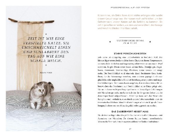 Die unglaublichen Fähigkeiten der Katze