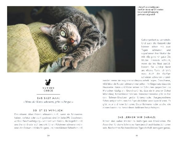 Die unglaublichen Fähigkeiten der Katze