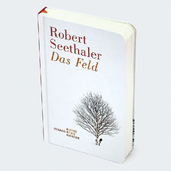 Das Feld