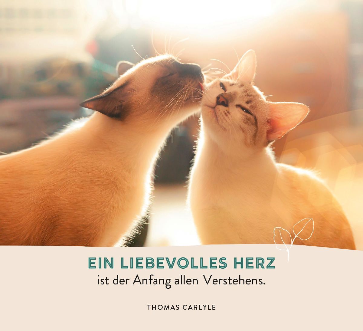 Zur Hochzeit
