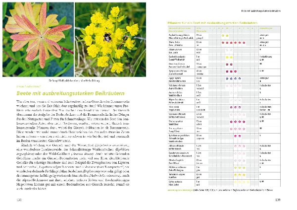 Kleiner Garten naturnah