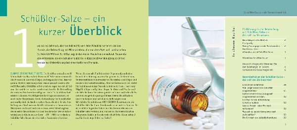 Schüßler-Salze, Quickfinder
