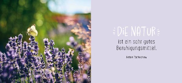 Gute Besserung