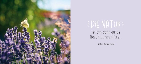 Gute Besserung