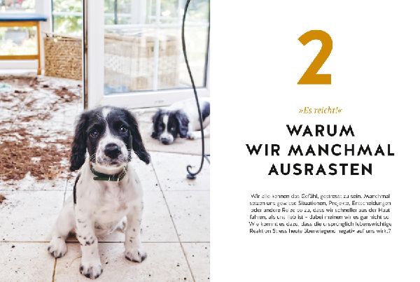 Hunde erziehen ohne Schimpfen
