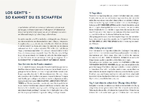 Hunde erziehen ohne Schimpfen