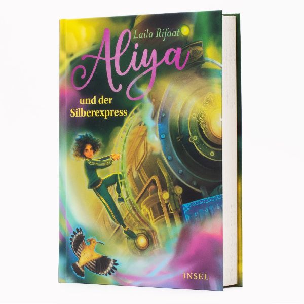 Aliya und der Silberexpress (Die Schule der Zeitreisenden 2)