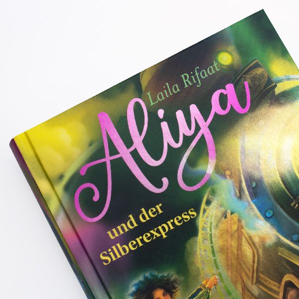 Aliya und der Silberexpress (Die Schule der Zeitreisenden 2)