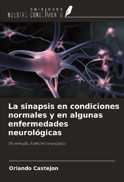La sinapsis en condiciones normales y en algunas enfermedades ...