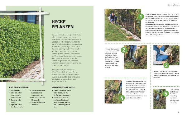 Projekt Garten