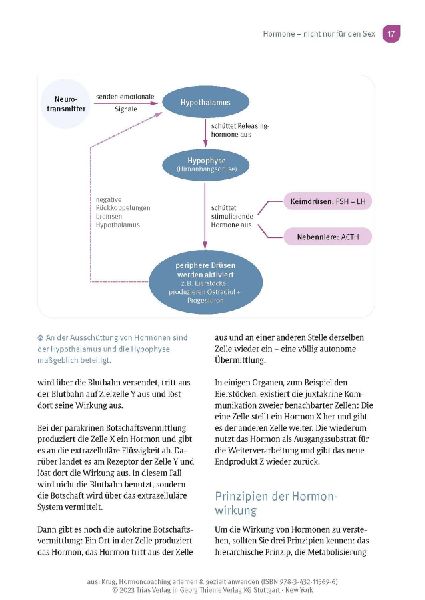 Hormoncoaching erlernen & gezielt anwenden