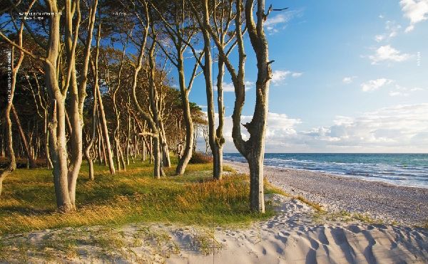 Hidden Beaches Deutschland