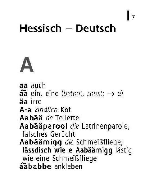 Langenscheidt Lilliput Hessisch
