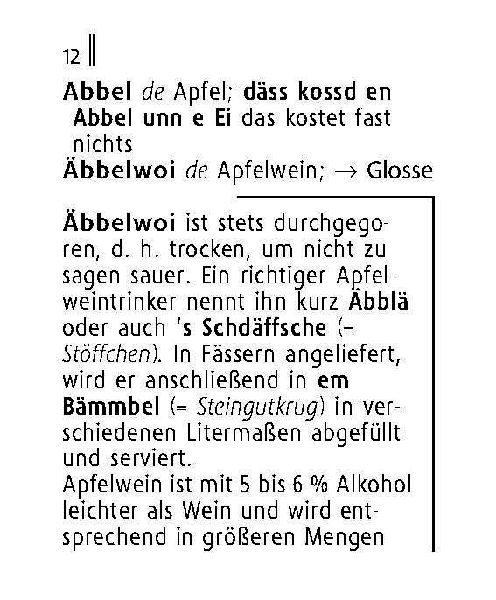 Langenscheidt Lilliput Hessisch
