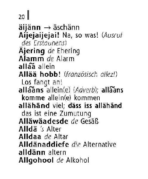 Langenscheidt Lilliput Hessisch