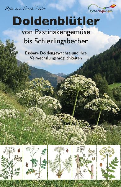 Doldenblütler von Pastinakengemüse bis Schierlingsbecher