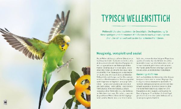 Wellensittiche