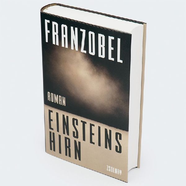 Einsteins Hirn