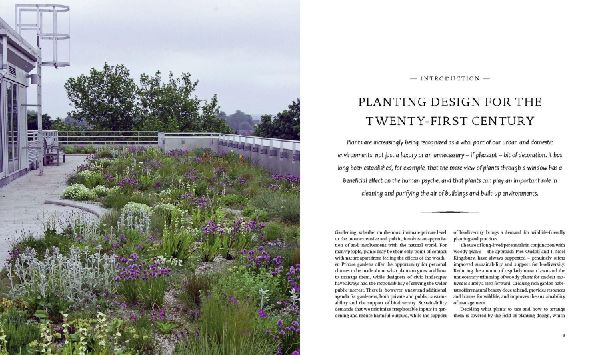 Planting
