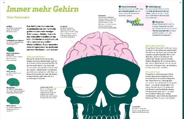 WAS IST WAS Der Mensch. Von der Steinzeit bis zu dir