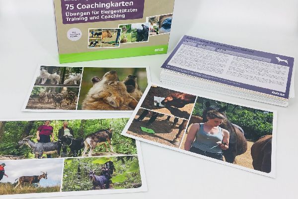 75 Coachingkarten Übungen für tiergestütztes Training und Coaching