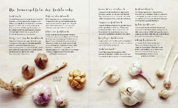 Knoblauch