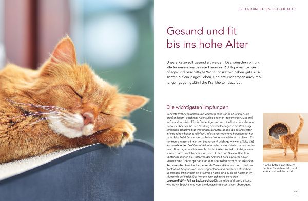 Das große Wohnungskatzen-Wohlfühl-Buch
