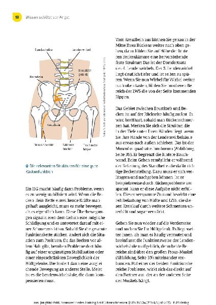 Neurozentriertes Training bei Rückenschmerzen