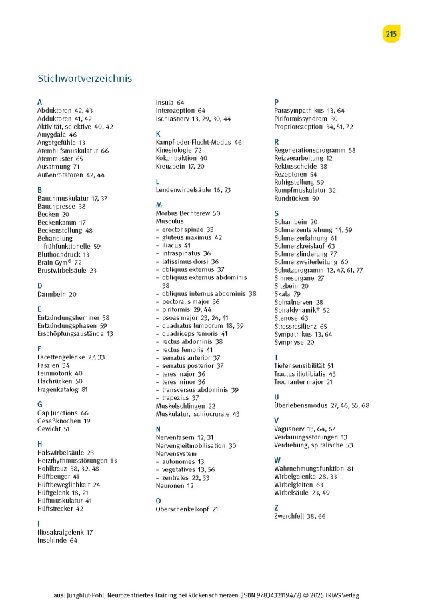Neurozentriertes Training bei Rückenschmerzen