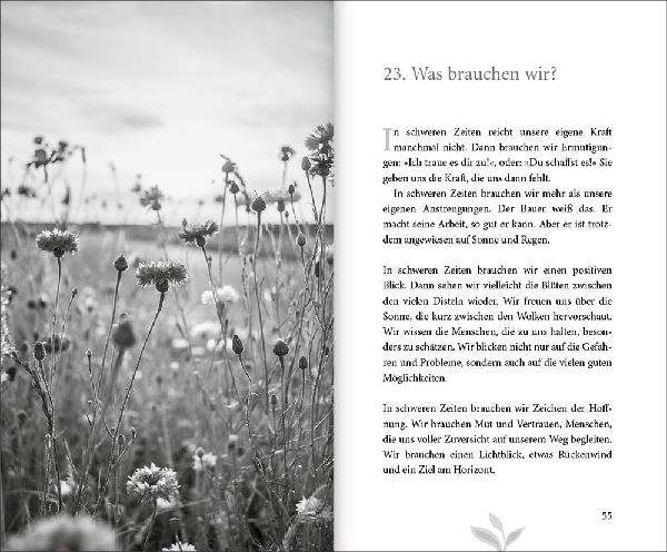 77 mal Zuversicht
