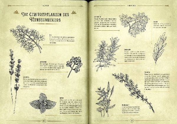 Die legendäre Küche von Zelda - Magische Rezepte inspiriert von der Videogame-Saga