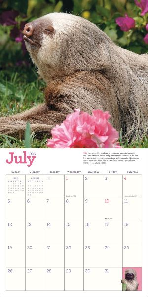 Original Sloths Wall Calendar 2026