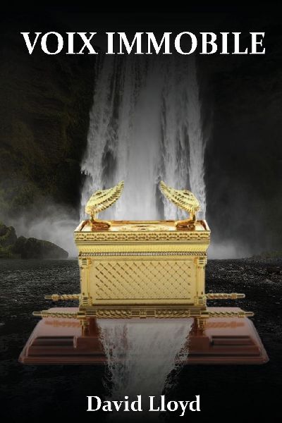 VOIX IMMOBILE