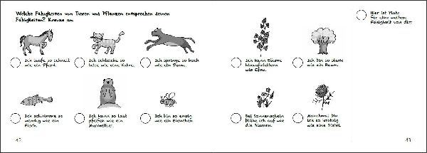 Willi Wunder - Das Bilder-Erzählbuch für alle Kinder, die ihre Einzigartigkeit entdecken wollen