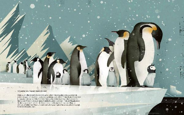 Die Welt der wilden Tiere