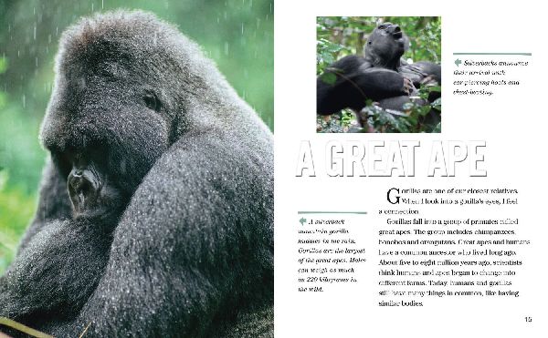 NAT GEO READER GORILLAS