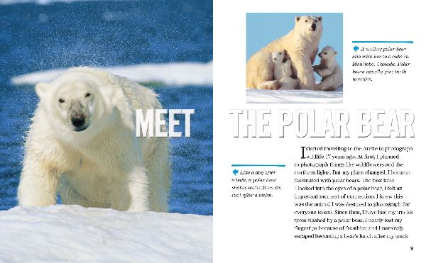 NAT GEO READER POLAR BEARS